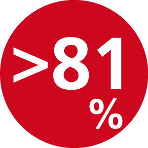 Wirkungsgrad 81%