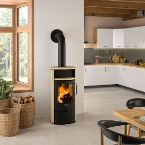 Kaminofen Island 5 2.0